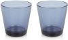 Iittala Kartio Glas 210 ml Set van 2 Regenblauw online kopen