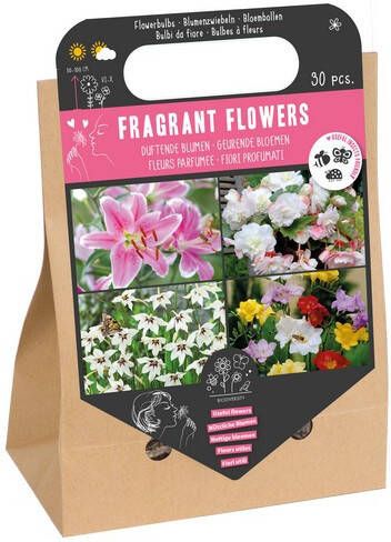 Fragrant Flowers Bag Bloembollen