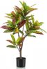 Wants&Needs Plants Kunstplant Croton Tree 95cm online kopen
