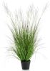 Wants&Needs Plants Kunstplant Catkins Grass 110cm online kopen