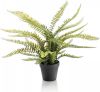 Wants&Needs Plants Kunstplant Boston Fern 55cm online kopen
