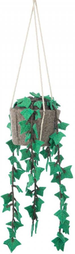 Kidsdepot Hangplant Hedera Felix