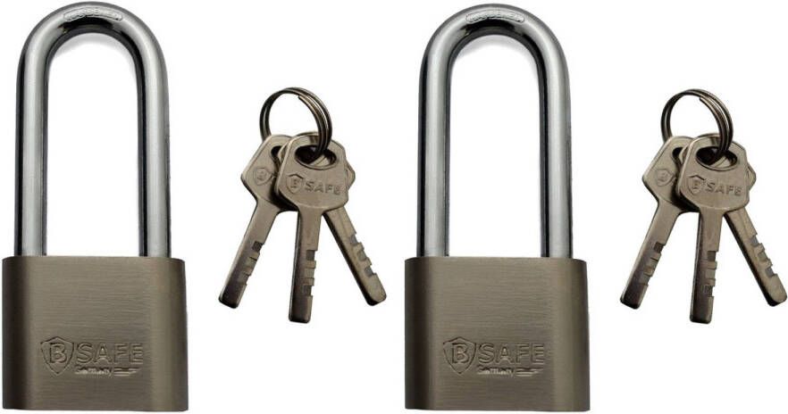 Merkloos 2x Stuks Hangsloten Van Edelstaal 50 Mm Met Hoge Beugel Hangsloten