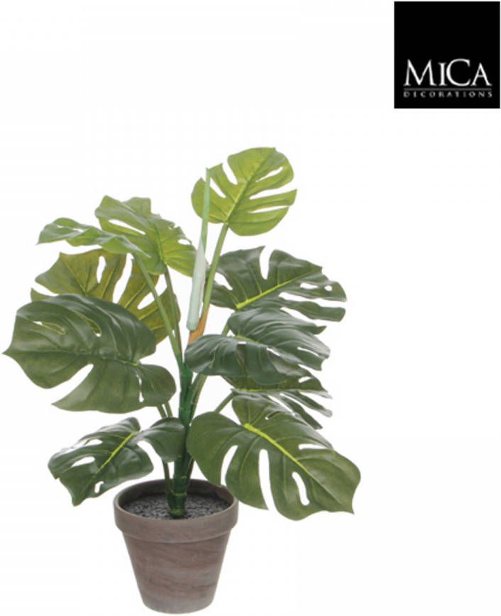 Mica Decorations Monstera Groen In Pot Stan Grijs D13, 5cm H48xd39cm