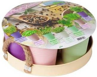 Baltus Herb Festival 7 Pastel zaden giftbox