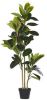 Beliani Ficus Kunstplant groen synthetisch Materiaal online kopen