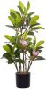 Beliani Magnolia Kunstplant groen synthetisch Materiaal online kopen