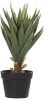 Beliani Yucca Kunstplant groen synthetisch Materiaal online kopen