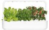 Click&Grow Smart Garden kruidenpot 9 planten online kopen