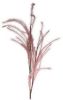 Dijk Natural Collections Pluim Donker Roze108cm online kopen