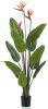 Wants&Needs Plants Kunstplant Strelitzia Tree Flowers 120cm online kopen