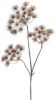 Wants&Needs Plants Kunsttak Heracleum Bruin 102cm online kopen