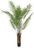 Wants&Needs Plants Kunstplant Areca Palm 180cm online kopen