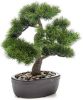 Emerald Kunstplant in bruine pot Pinus Bonsai 32 cm online kopen
