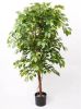 Wants&Needs Plants Kunstplant Ficus Deluxe Vine Tree 140cm online kopen