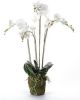 Emerald Kunstplant orchidee met mos wit 90 cm 20.355 online kopen