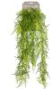 Emerald Kunstplant sierasperge 80 cm online kopen