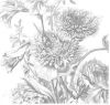 KEK Amsterdam fotobehang Engraved Flowers (292.2x280 cm) (292.2x280 cm) online kopen