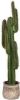 LABEL51 Kunstplant Cactus 30x25x130 cm Groen Kunststof online kopen