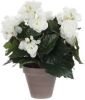Mica Decorations Witte Begonia Kunstplant Met Bloemen 30 Cm In Grijze Pot Kunstplanten/nepplanten Voor Binnen online kopen