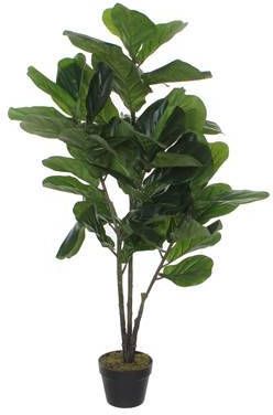 Mica Decorations Mica Kunstplant Ficus Lyrata H120cm