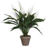 Mica Decorations Spathiphyllum Lepelplant Kunstplant Wit In Keramieken Pot H50 X D40 Cm Kunstplanten online kopen