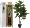 Mica kunstplant Ficus Lyrata (120 cm) online kopen