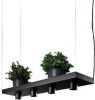 Nowodvorski Hanglamp Plant 4 lichts L 80 cm B 24 cm zwart online kopen