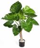Plantenwinkel.nl Kunstplant Alocasia calidora online kopen