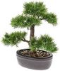 Merkloos Bonsai Boompje Cedrus Atlantica Glauca Kunstplant In Kunststof Pot 32 Cm Kunstplanten online kopen