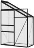 VIDAXL Broeikas 1, 38 m&#xB2, aluminium antracietkleurig online kopen