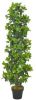 VidaXL Kunstplant met pot laurierboom 150 cm groen online kopen