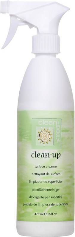 Clean and Easy Clean Up Surface Cleanser 473 ml