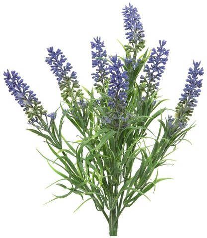 Shoppartners Lavender Plastic L13 w13 h34cm Purple