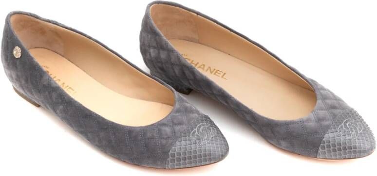 Chanel Vintage Pre owned Grey Velvet Ballerinas with Python Toe , Grijs, Dames