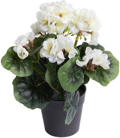 Warentuin Pelargomium In Pot Cream 28 Cm Kunstplant Nova Nature