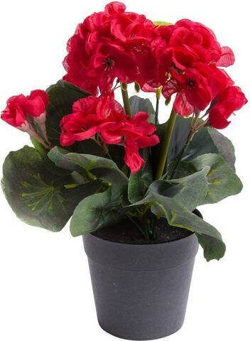 Botanic Haus Kunstbloem Geranium met 6 stelen