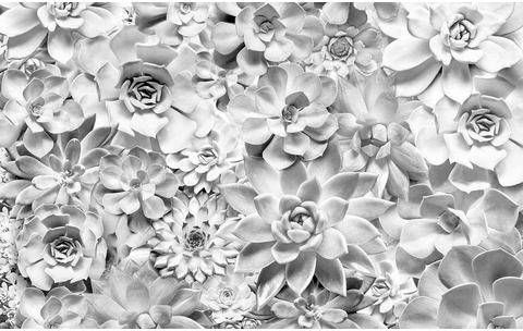 Komar Shades Black And White Vlies Fotobehang 400x250cm 4 banen