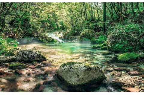 Komar Tranquil Pool Vlies Fotobehang 400x250cm 4 banen