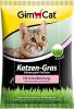 GimCat Kattengras Met Snelkiemzak Kattensnack 100 g online kopen