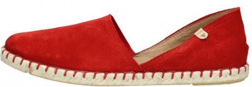 Verbenas Carmen  Rood