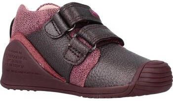 Biomecanics Nette Schoenen 211108