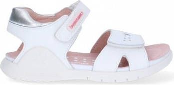 Biomecanics Waterschoenen 62082