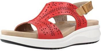 Fluchos Nette Schoenen F1481