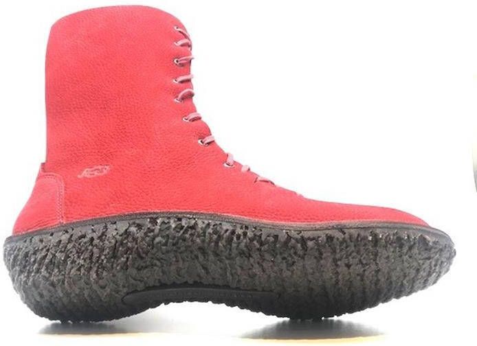 Loints of holland 378200577_Vliegert