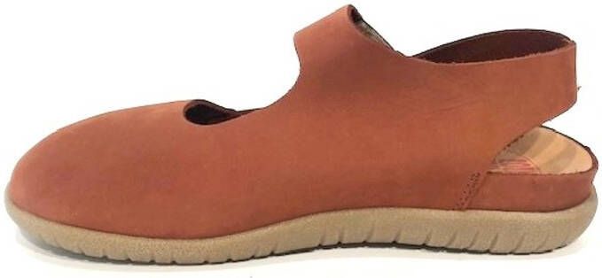 Loints of Holland 78931