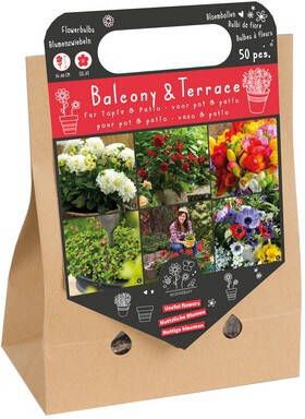 Koeman Flowerbulbs Bloembollentas voor balkon en terras
