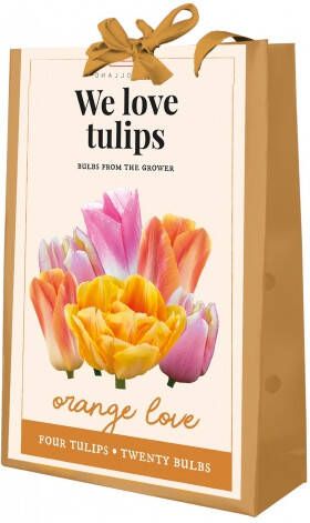 Koeman Flowerbulbs We Love Tulips Orange Love