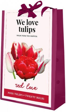 Koeman Flowerbulbs We Love Tulips Red Love