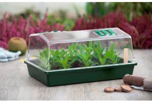 Nature Kweekkas Groen&Transparant Kweekbakken 24x37.5x18 cm